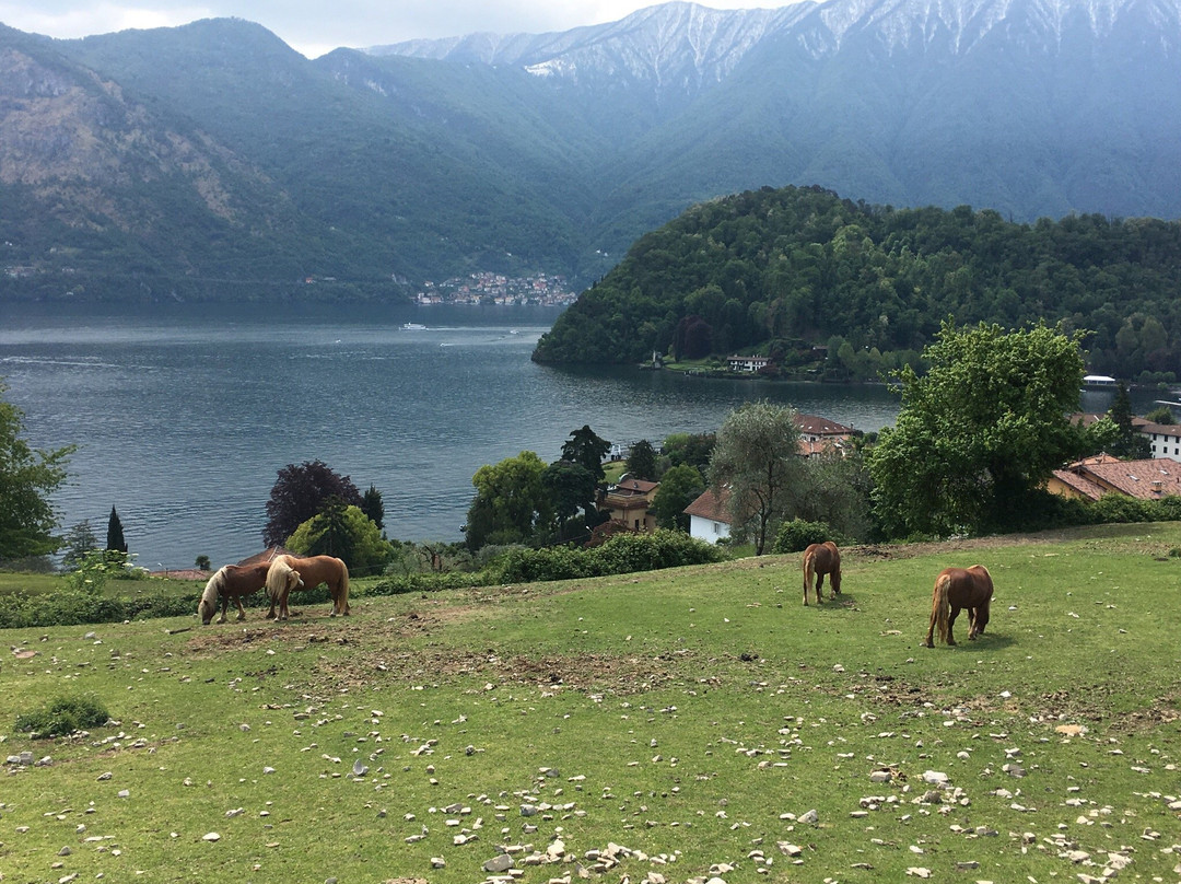 Colonno旅游攻略图片