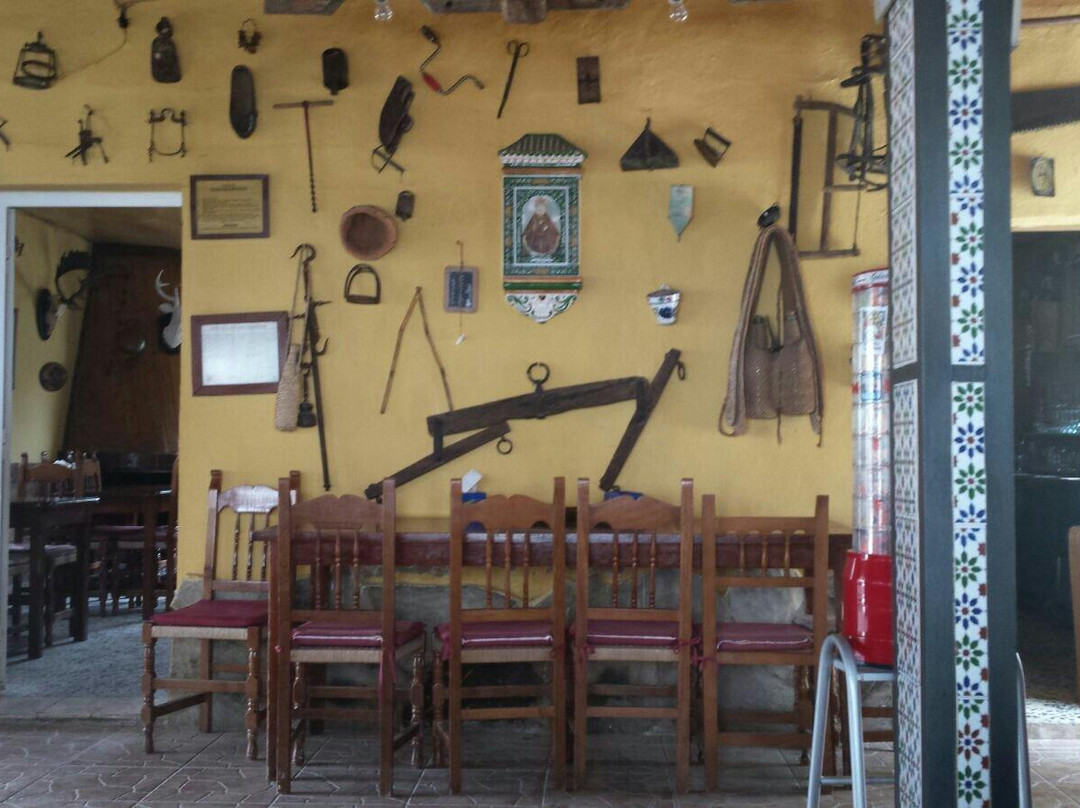 Venta Patrite