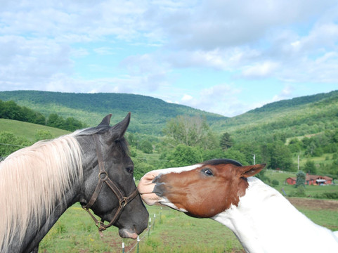 Hobart旅游攻略图片