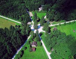 Foret Domaniale D'orléans