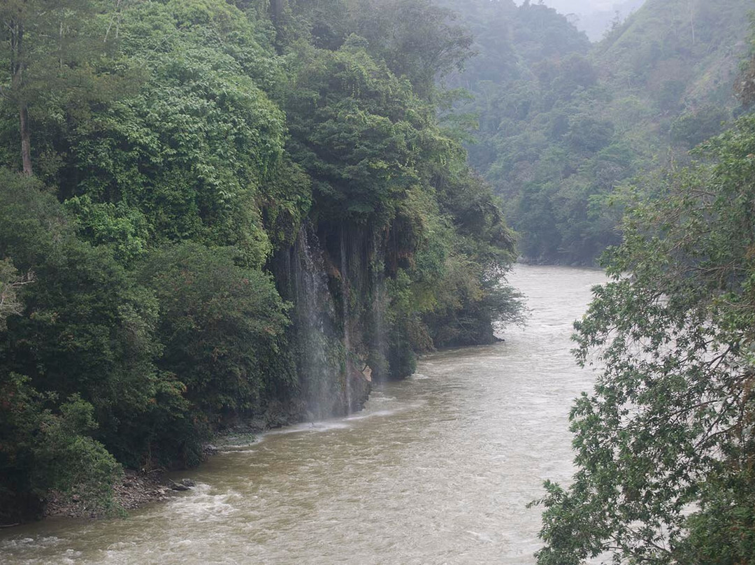 Puerto Nare旅游攻略图片