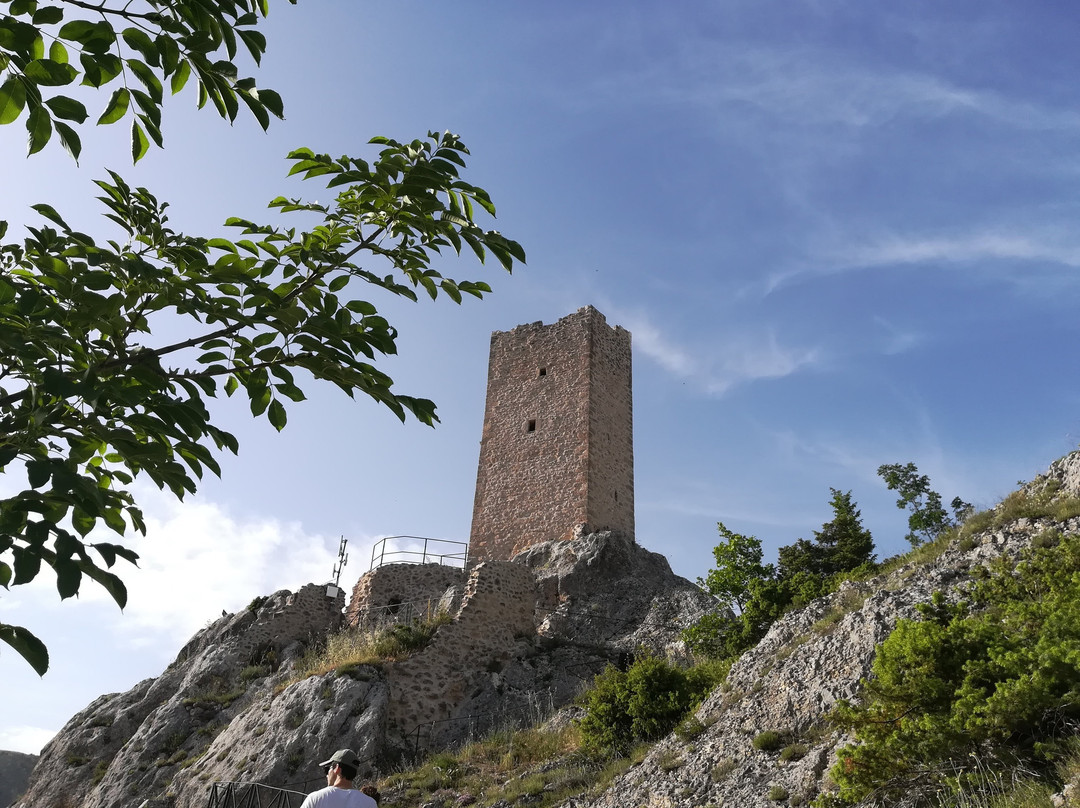 Torre Medievale Di Roccapreturo景点图片