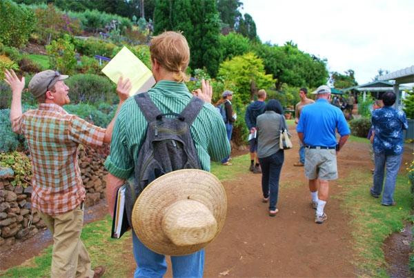 Taste of Maui Island Tours景点图片