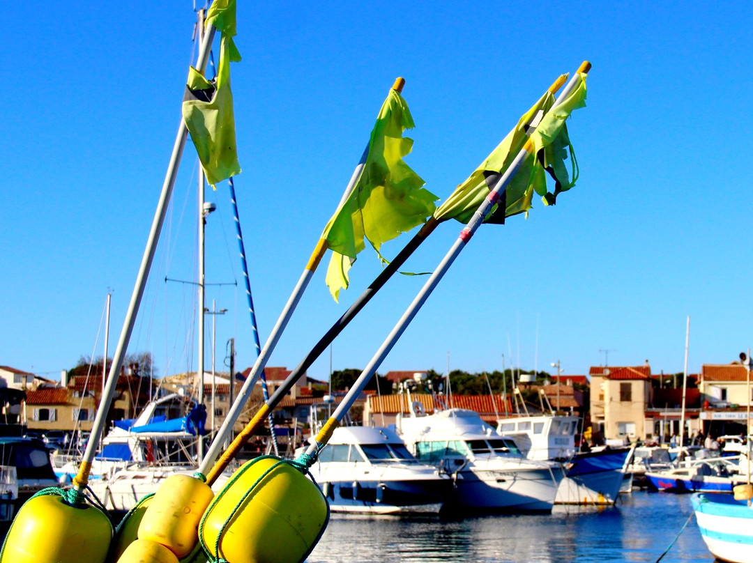 Port de Peche de Carro景点图片