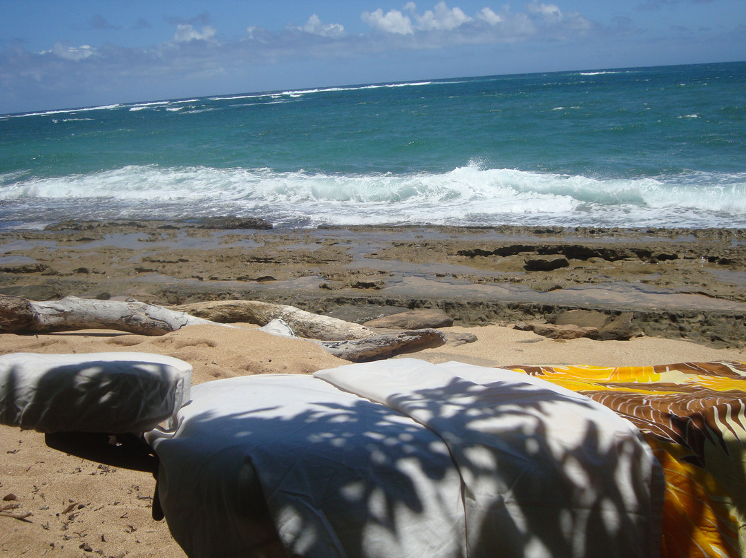 Kauai Couples Massage景点图片