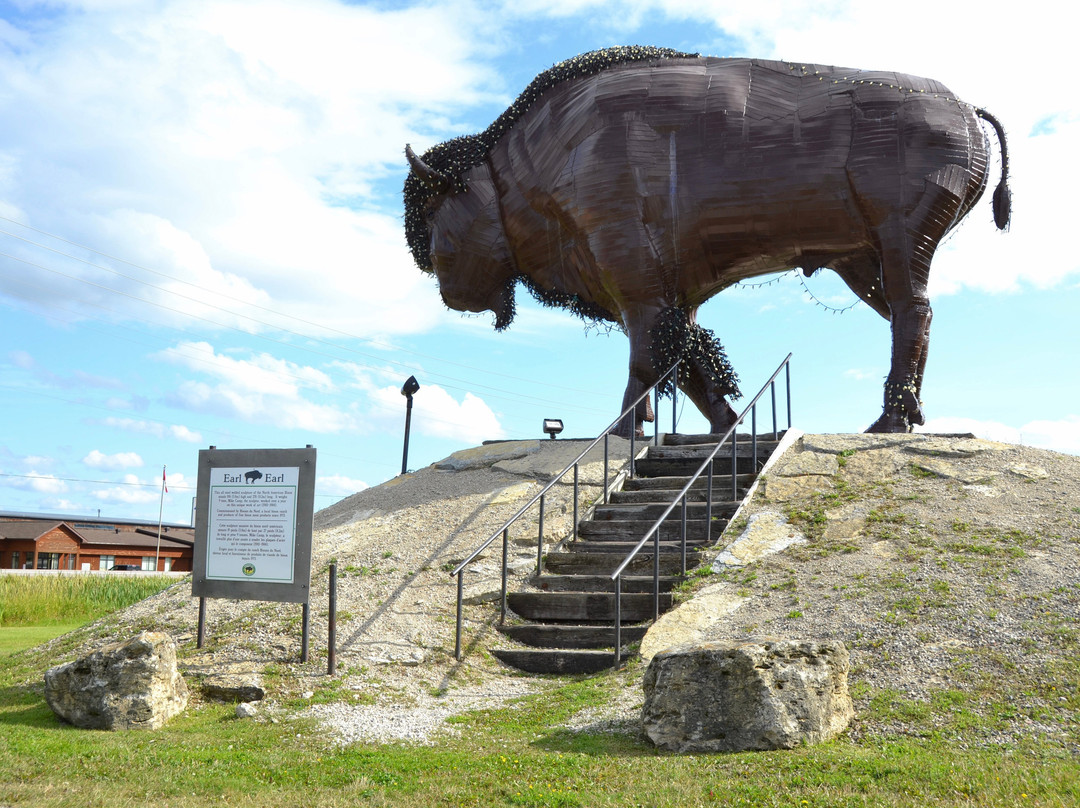 Earl The Bison-Earlton必去景点