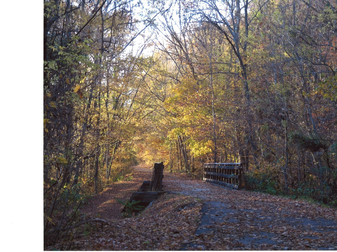 Cumberland RIver Bicentennial Trail景点图片