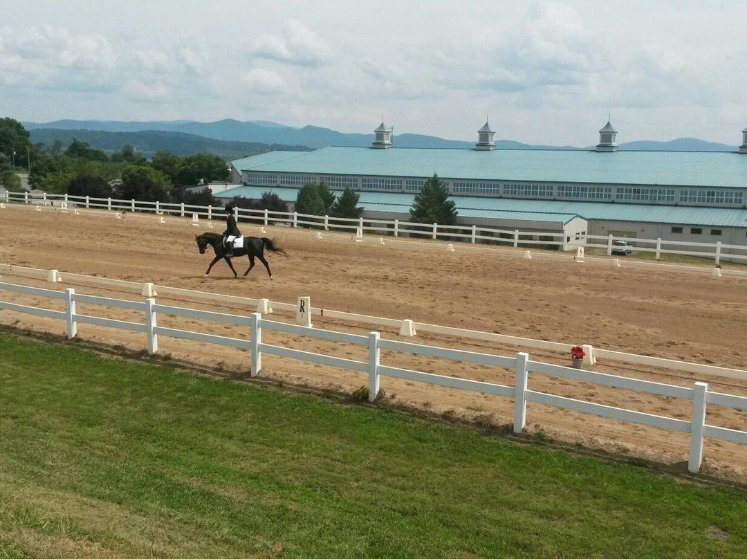 Virginia Horse Center