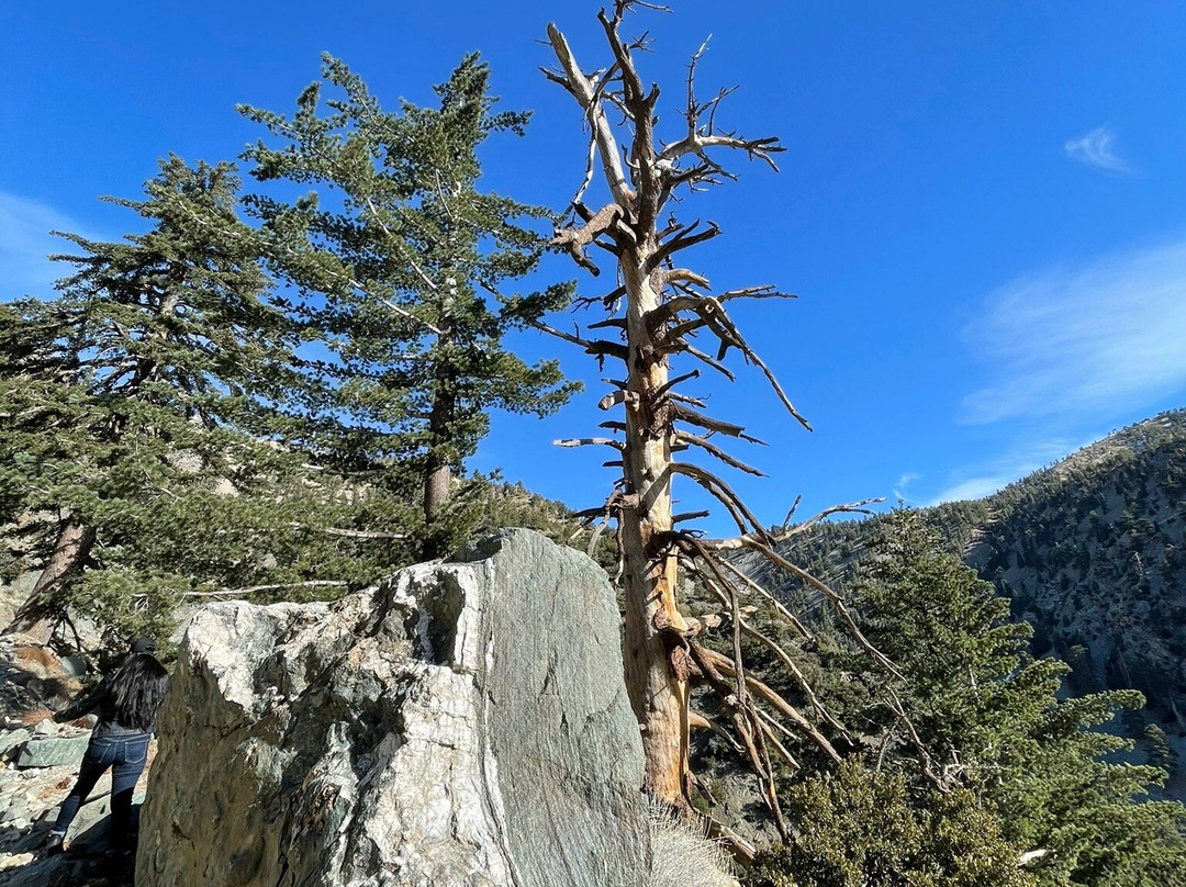 Old Baldy-Wimberley必去景点