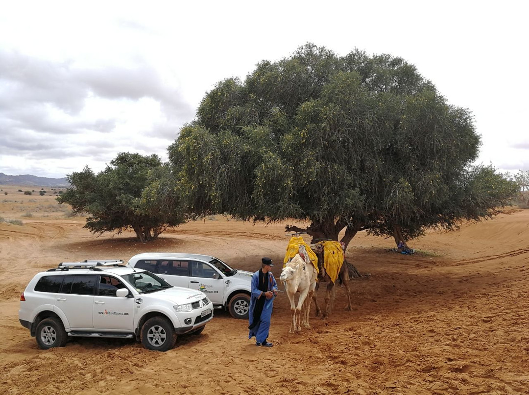 Admire Morocco-阿加迪尔必去景点