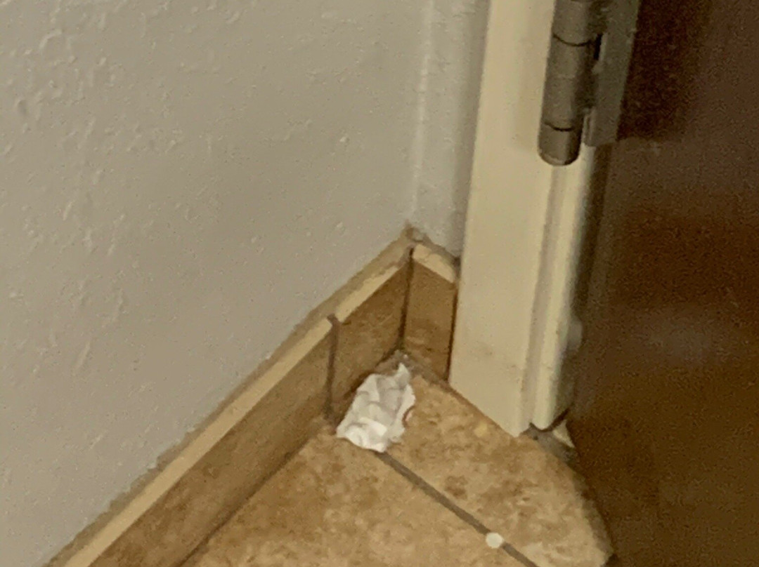 密歇根城市麦克罗特套房酒店主图