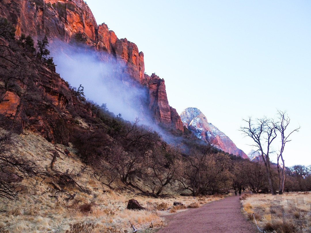 Grotto Trail-锡安国家公园必去景点