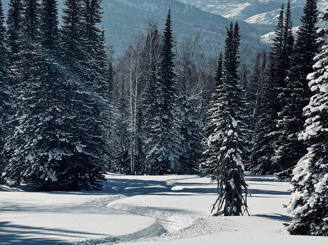 Ridder Resort Hotel主图