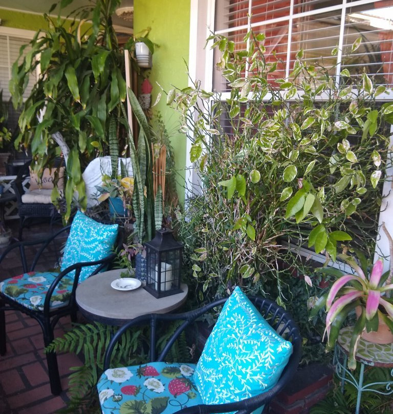 Shamrock Historic Inn主图