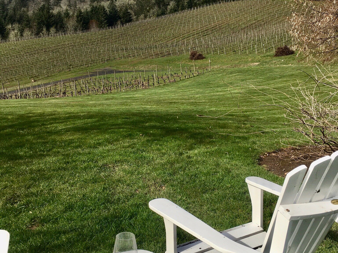 David Hill Winery-Forest Grove必去景点