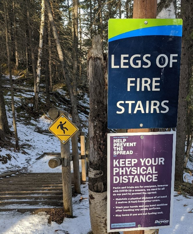 Devon Voyageur Park-德文郡必去景点