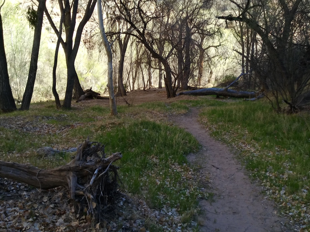 Aravaipa Canyon-Winkelman必去景点