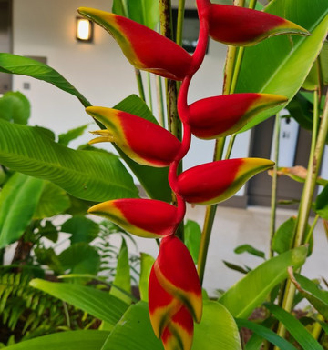 Toiny酒店住宿-Le Barthélemy Hotel & Spa