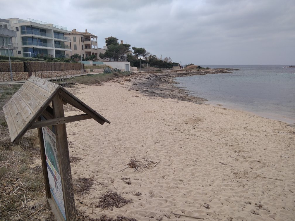 Playa Es Dofi景点图片