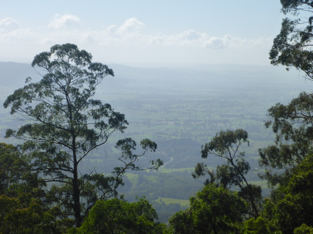 Fred Piper Memorial Lookout