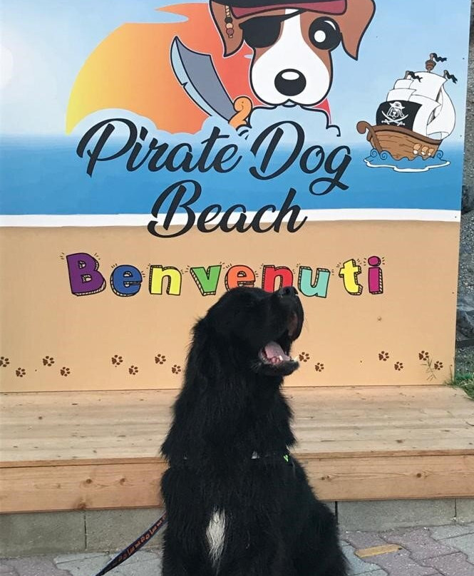 Pirate Dog Beach景点图片