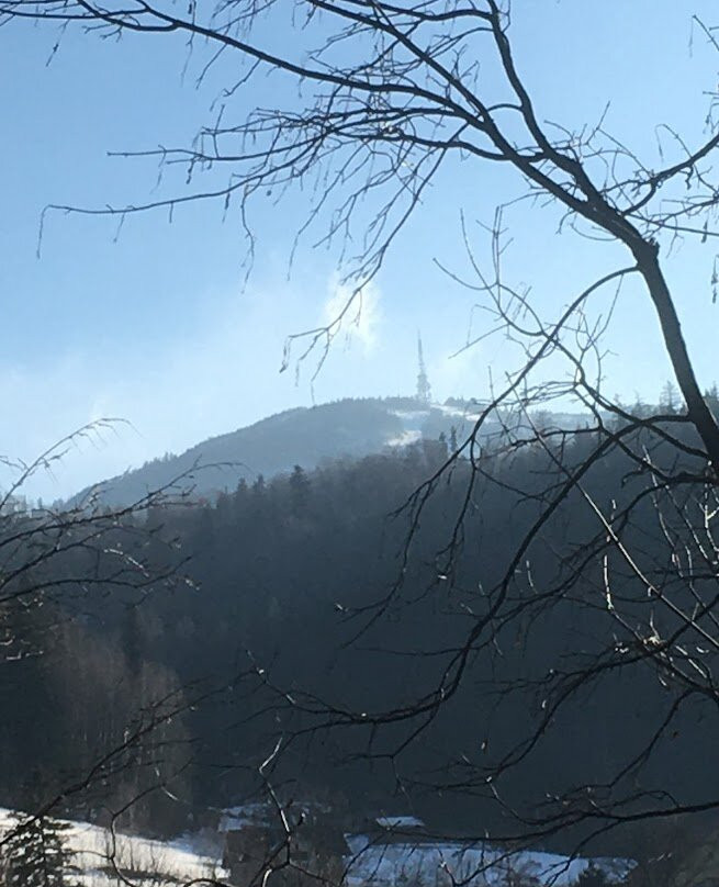 Park Krajobrazowy Beskidu Śląskiego/Beskid Śląski landscape park景点图片