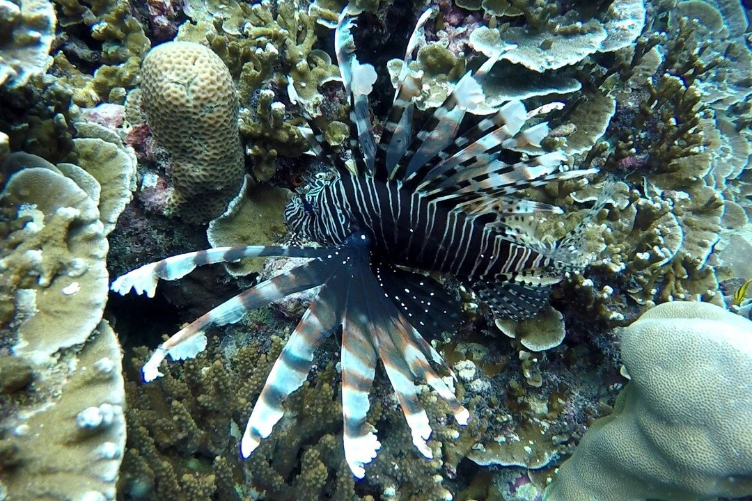 Sabina Tour-库拉武里必去景点