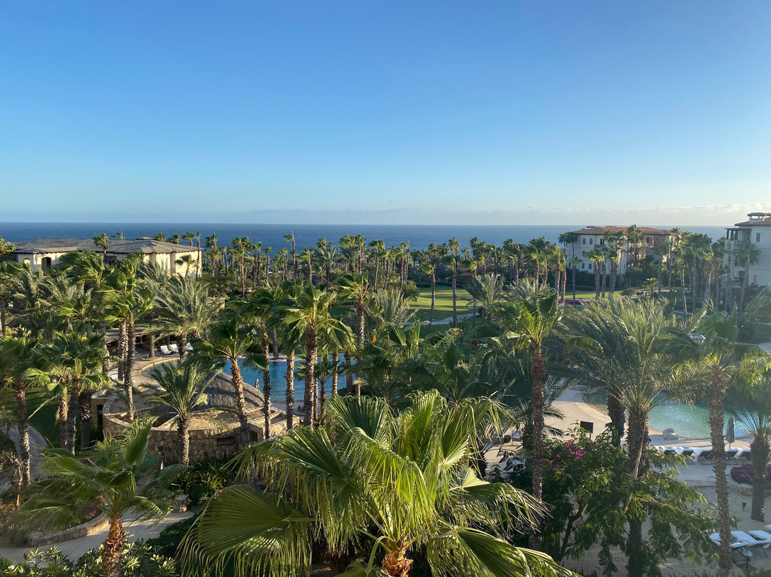 希望度假村主图