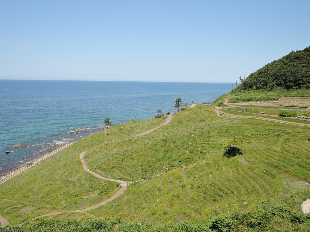 Michi-no-Eki Senmaida Pocket Park景点图片