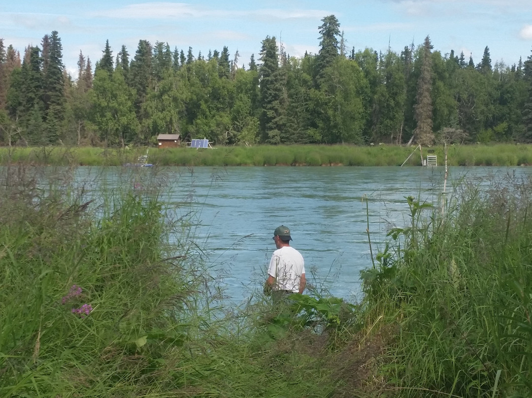 Oelrichs On The Kenai River LLC主图