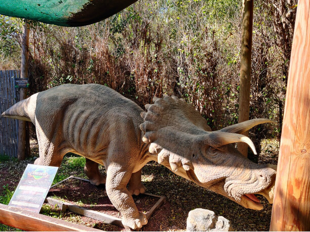 Gan Garoo Zoo-Nir David必去景点