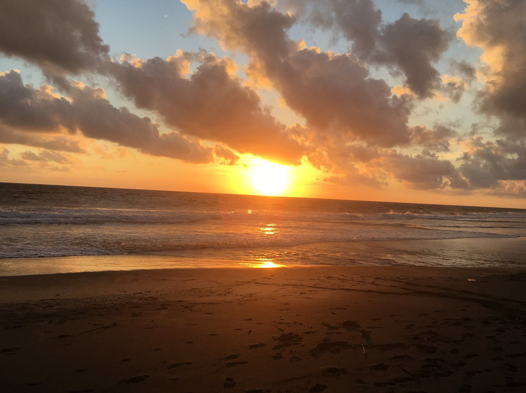 VIVE TOURS OAXACA-Mazunte必去景点