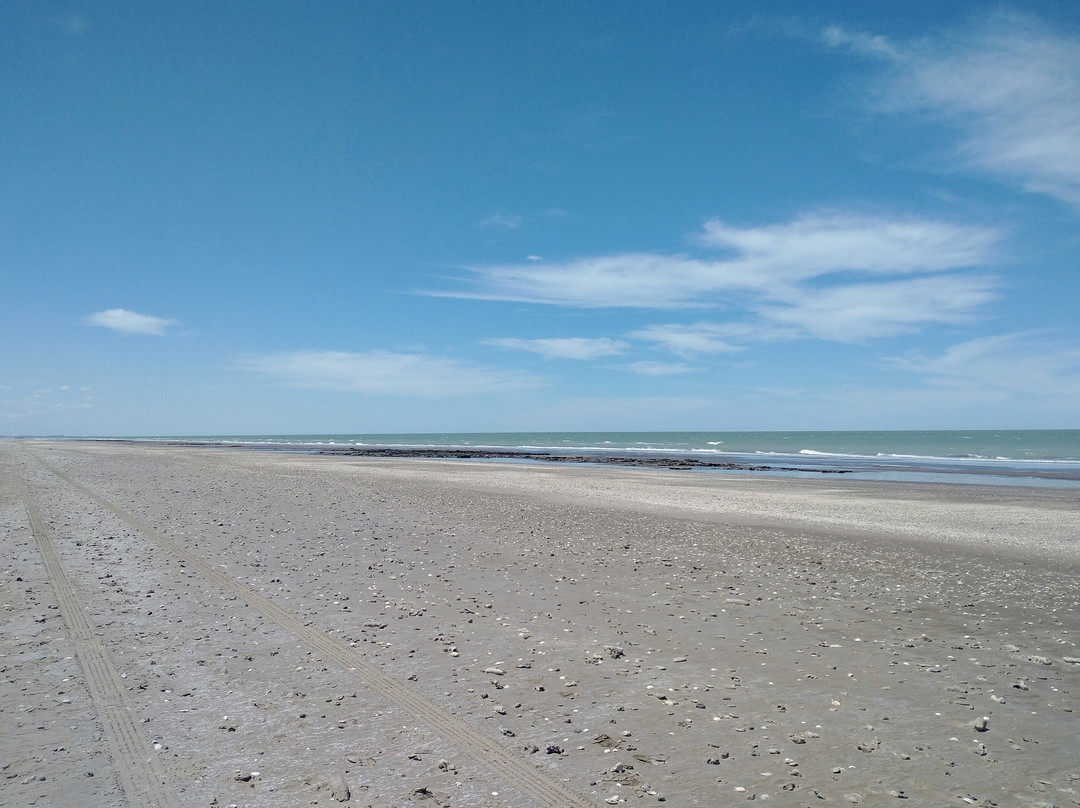 Reserva Natural Pehuen Co - Monte Hermoso-Monte Hermoso必去景点