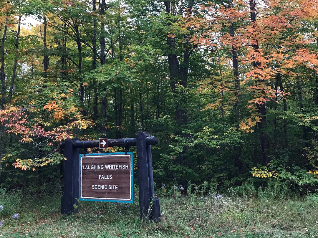 Laughing Whitefish Falls-缪尼辛必去景点