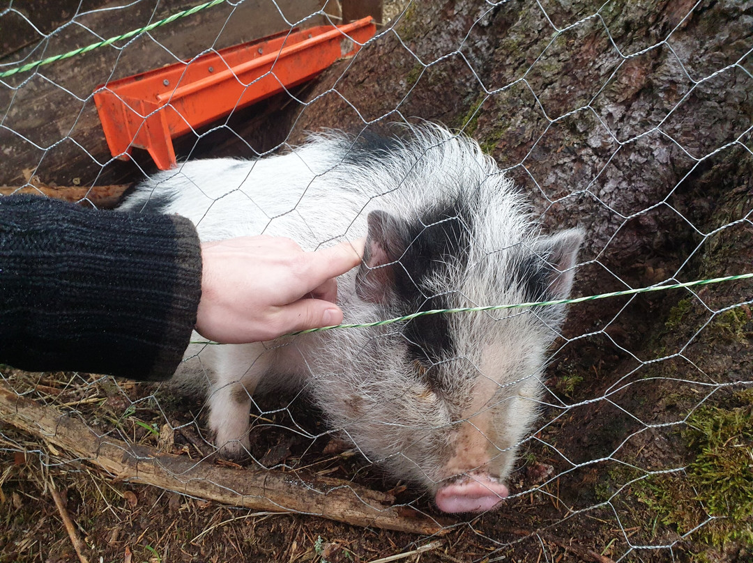Moulin la Papeterie主图