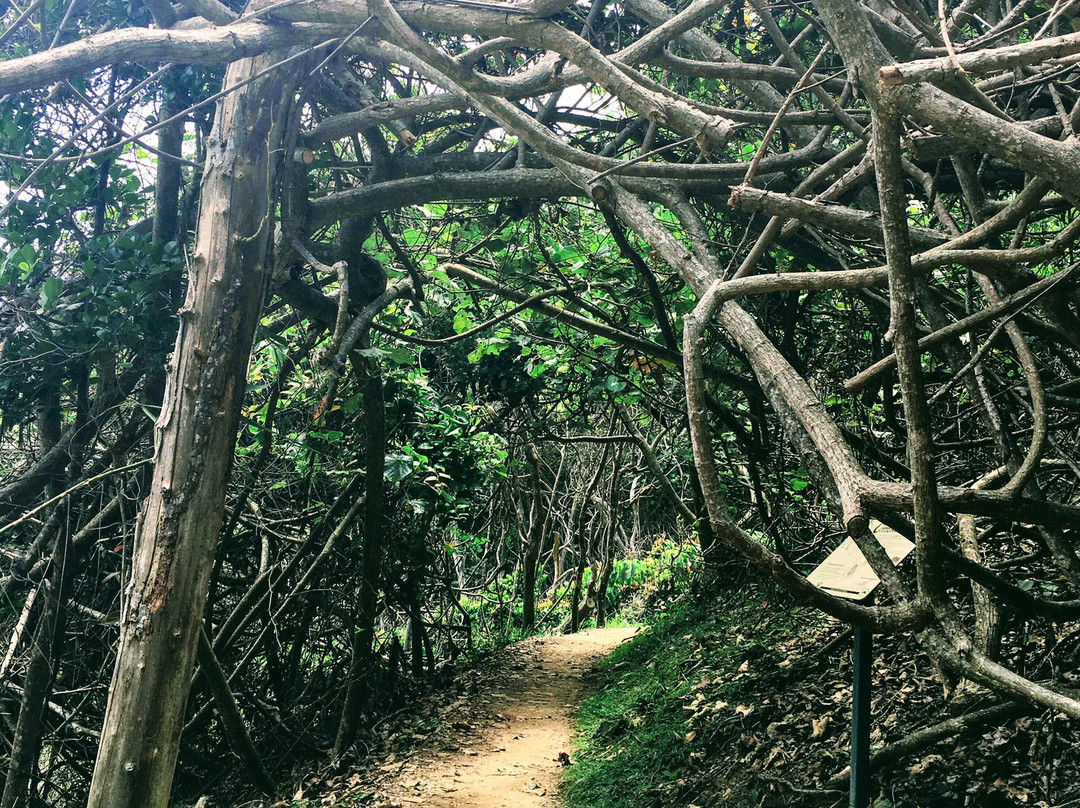 Broken Head Beach-Broken Head必去景点