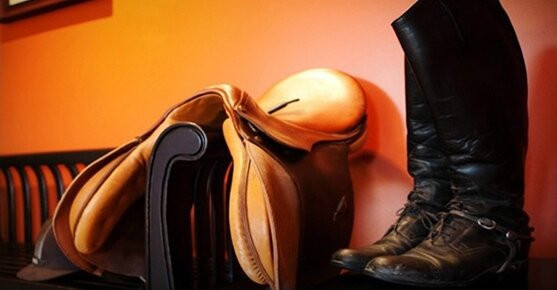 Pillow and Paddock Bed & Breakfast主图