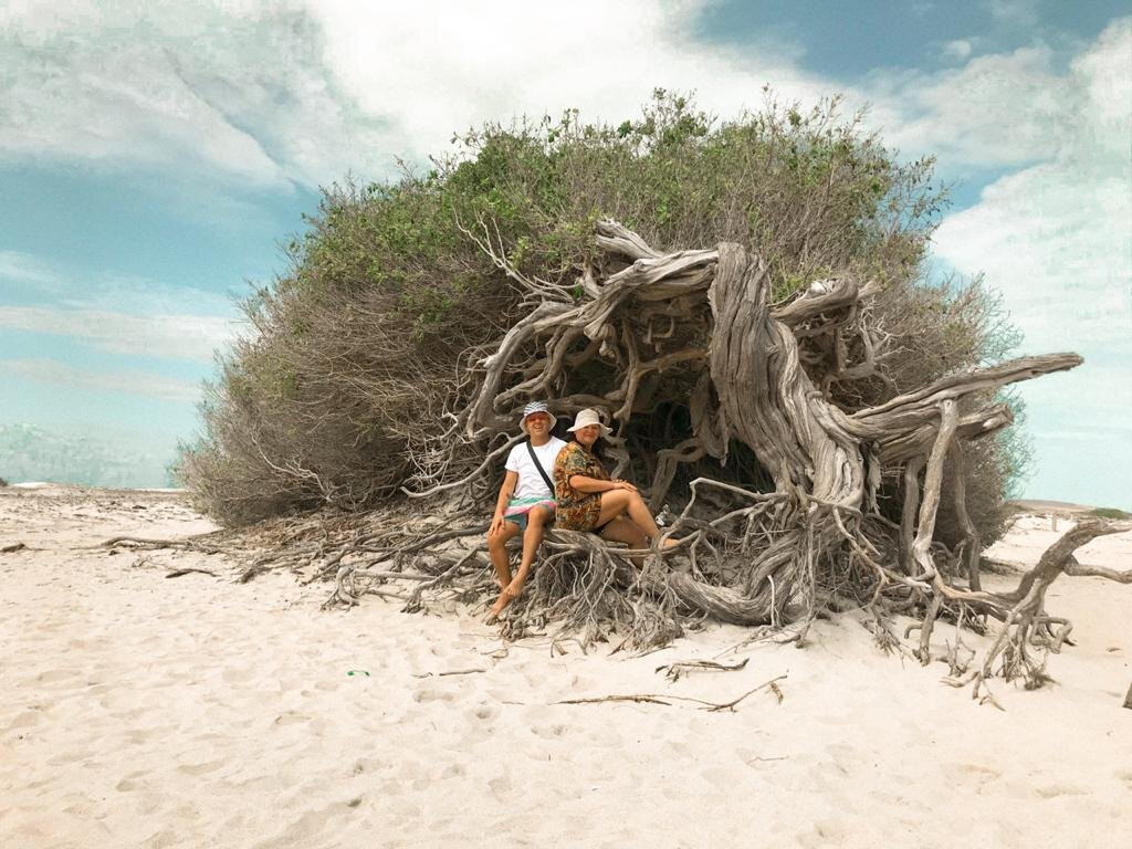 Jeri Excelencia Turismo-Jijoca de Jericoacoara必去景点