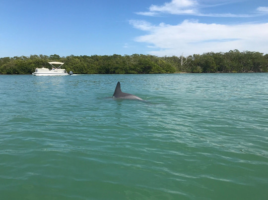 Siesta Key Boat Charters-西耶斯塔岛必去景点