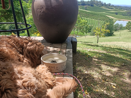 Grape to Glass Boutique Wine Tours-波高尔宾必去景点