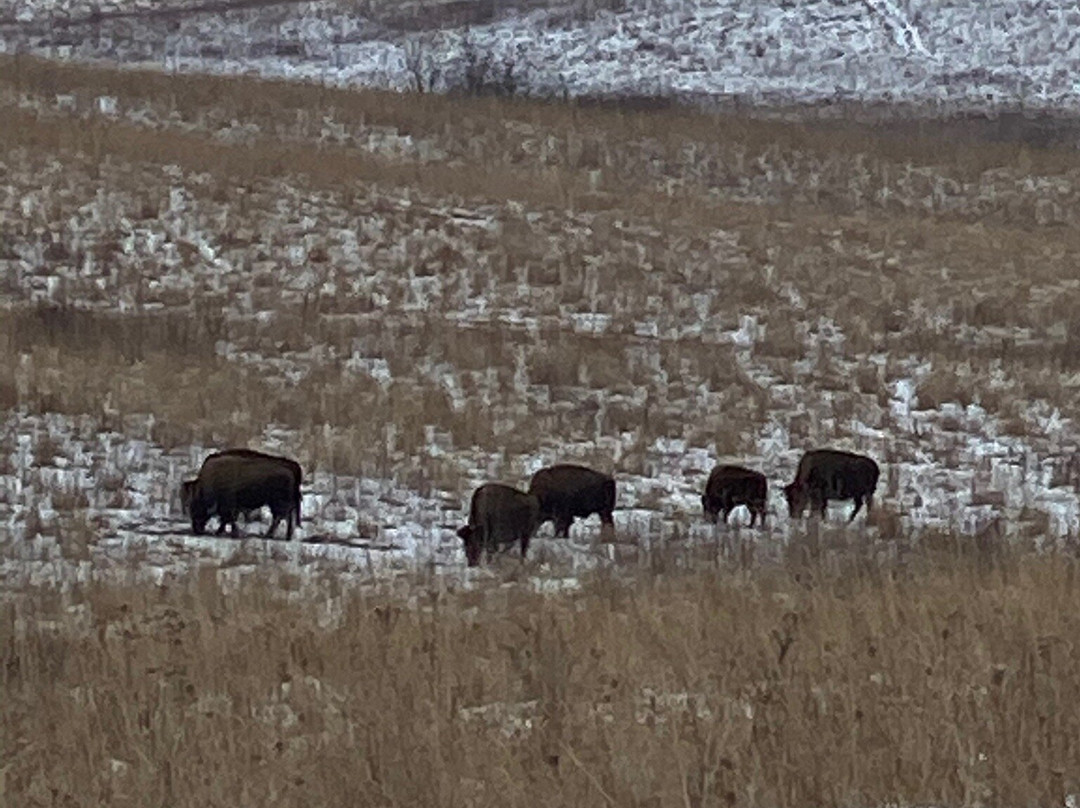 Neal Smith National Wildlife Refuge and Prairie Learning Center-Prairie City必去景点