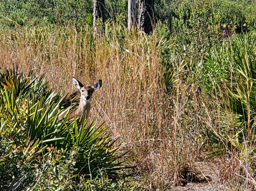 Tiger Creek Preserve-莱克威尔士必去景点