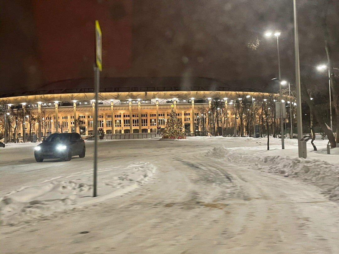 Aqua Complex Luzhniki景点图片