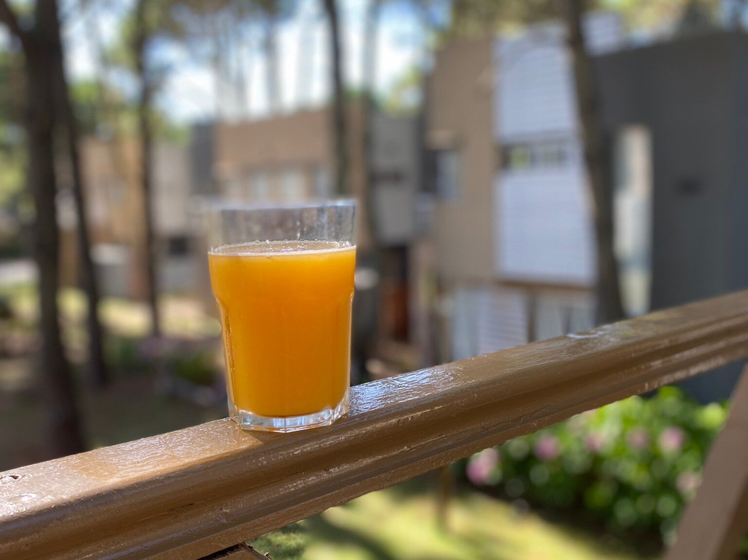 Del Pinar Apart主图