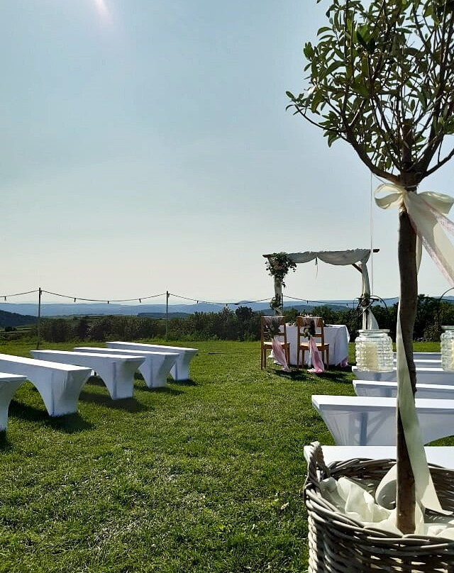 Weinblick Weingut Grafinger主图