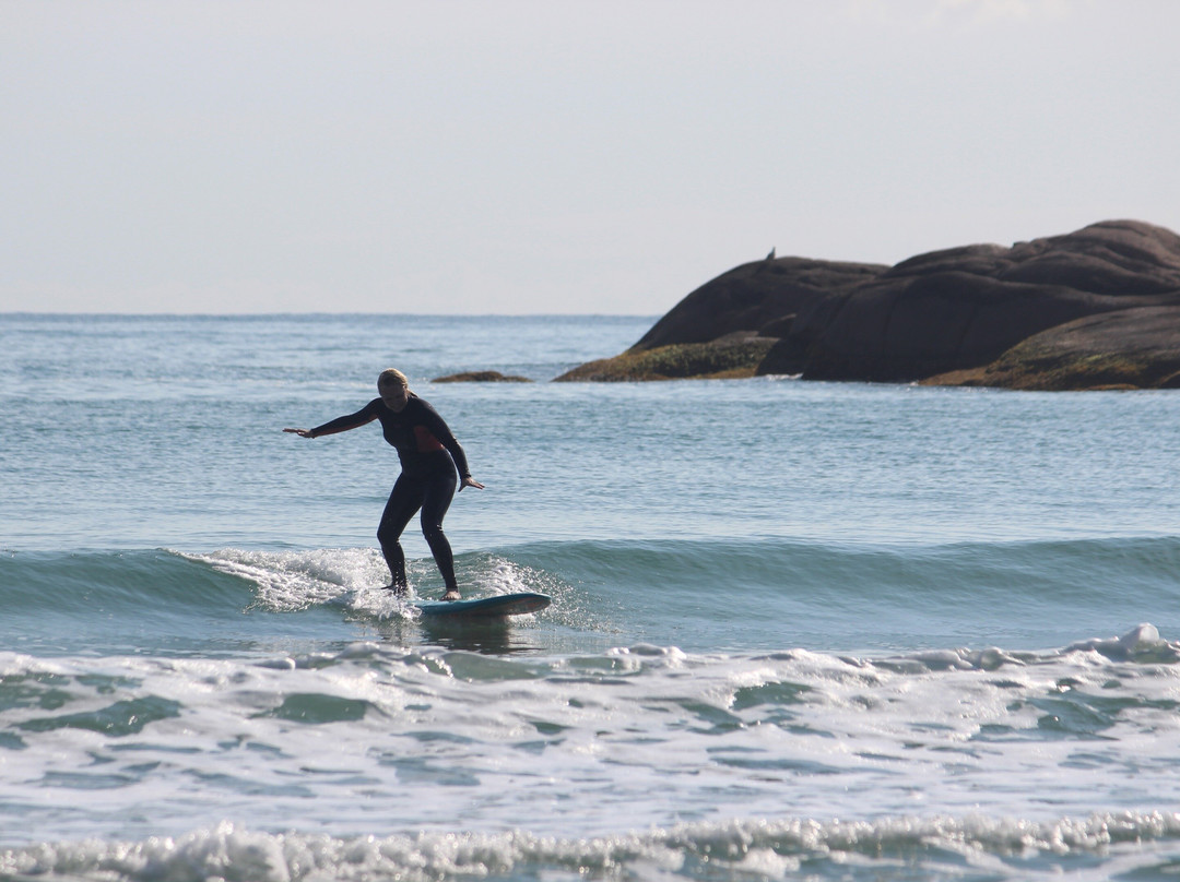 Sea Wolf Surf School景点图片