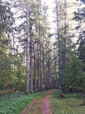Kartavkalna Nature Trail