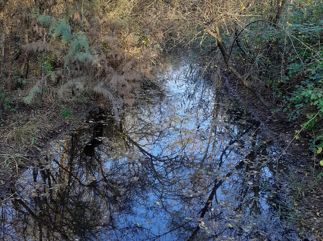 Riserva Naturale Valle Cavanata -Fossalon必去景点