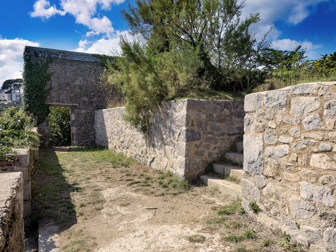 Ile de la Contesse景点图片