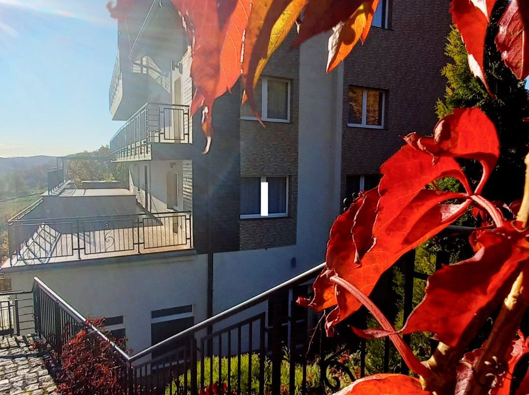 Hotel Srebrna Góra主图